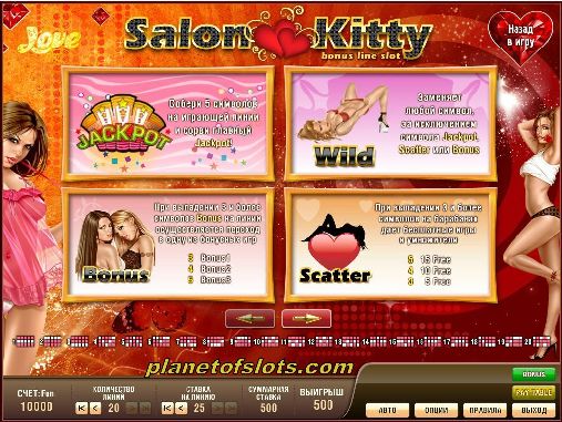 Игровой автомат Salon Kitty. Бонусная игра 2